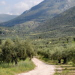 ... auf dem Weg nach Mykene ... auf dem Weg nach Mykene