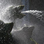 ... in der ... ... in der ...